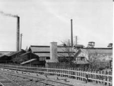 株式会社魚井商店